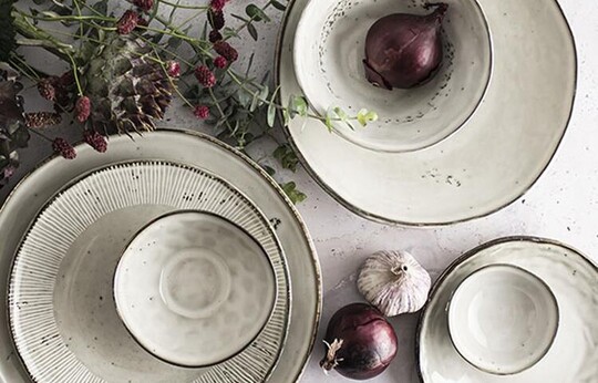 D U T C H      R O S E